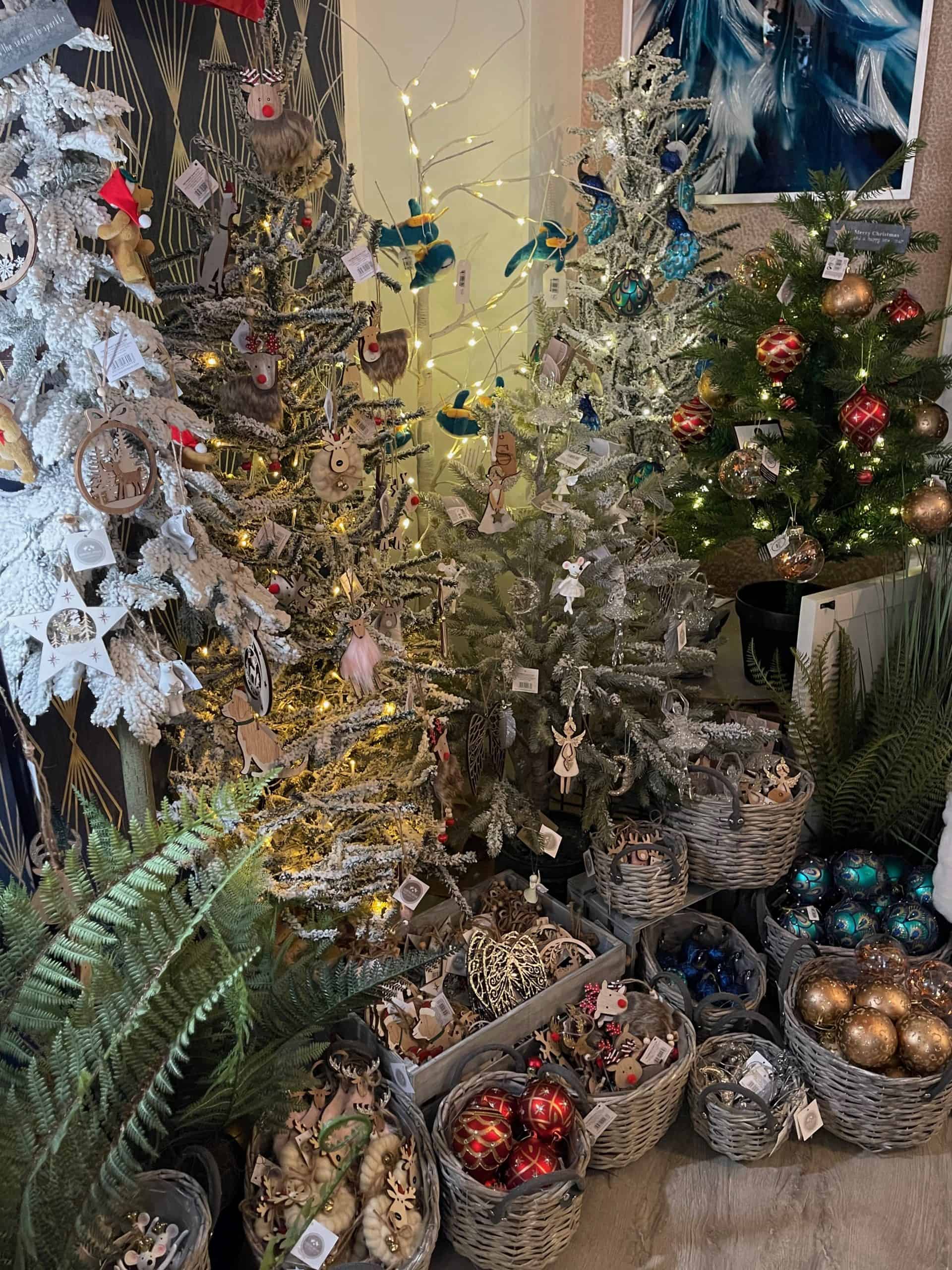 Christmas Shop Barnstaple