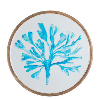 Seaweed Tray