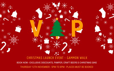 VIP Christmas Launch Night