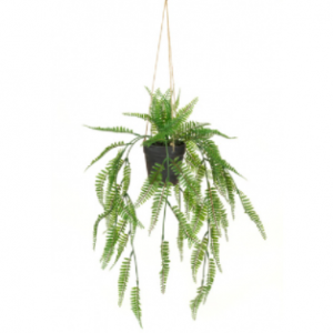 Hanging Potted Fern 51cm