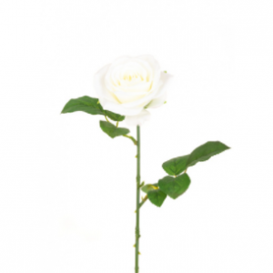 White Gemma Single Rose - 64cm