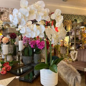 White Orchid In Ceramic Pot 74cm