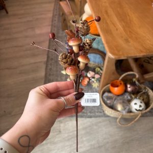 Toadstool & Cone Pick