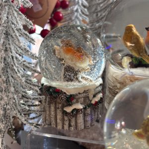 Robin on Log Dome Med