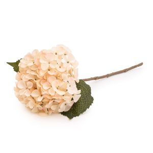 Artificial Single Hydrangea TwoTone Cream Faux Stem 46cm