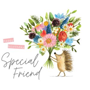 Happy Birthday Card For Special Friend With Hedgehog